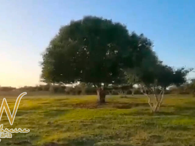 #104 - Área para Venda em Cabo Frio - RJ