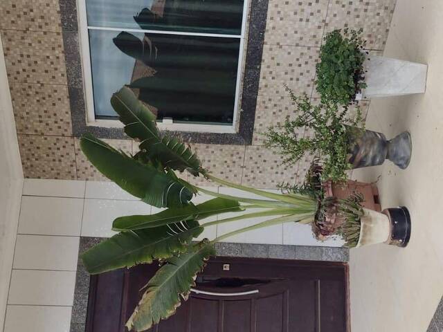 Casa para Venda em Cabo Frio - 4