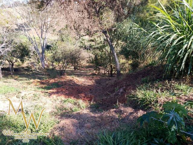 #157 - Terreno para Venda em Soledade de Minas - MG