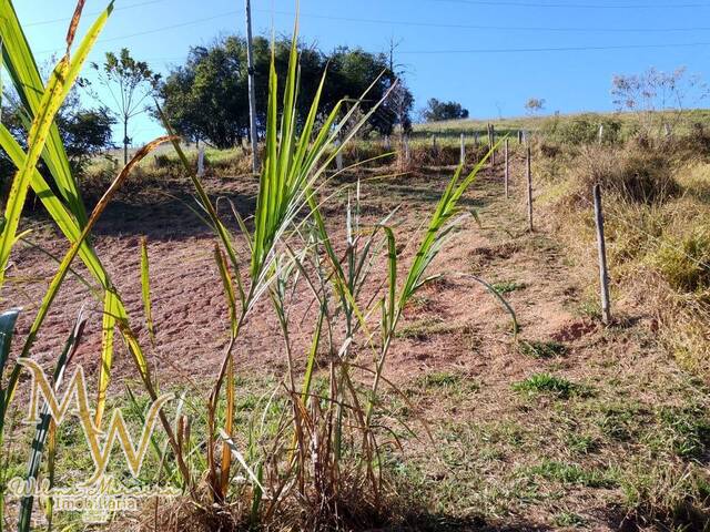 #157 - Terreno para Venda em Soledade de Minas - MG